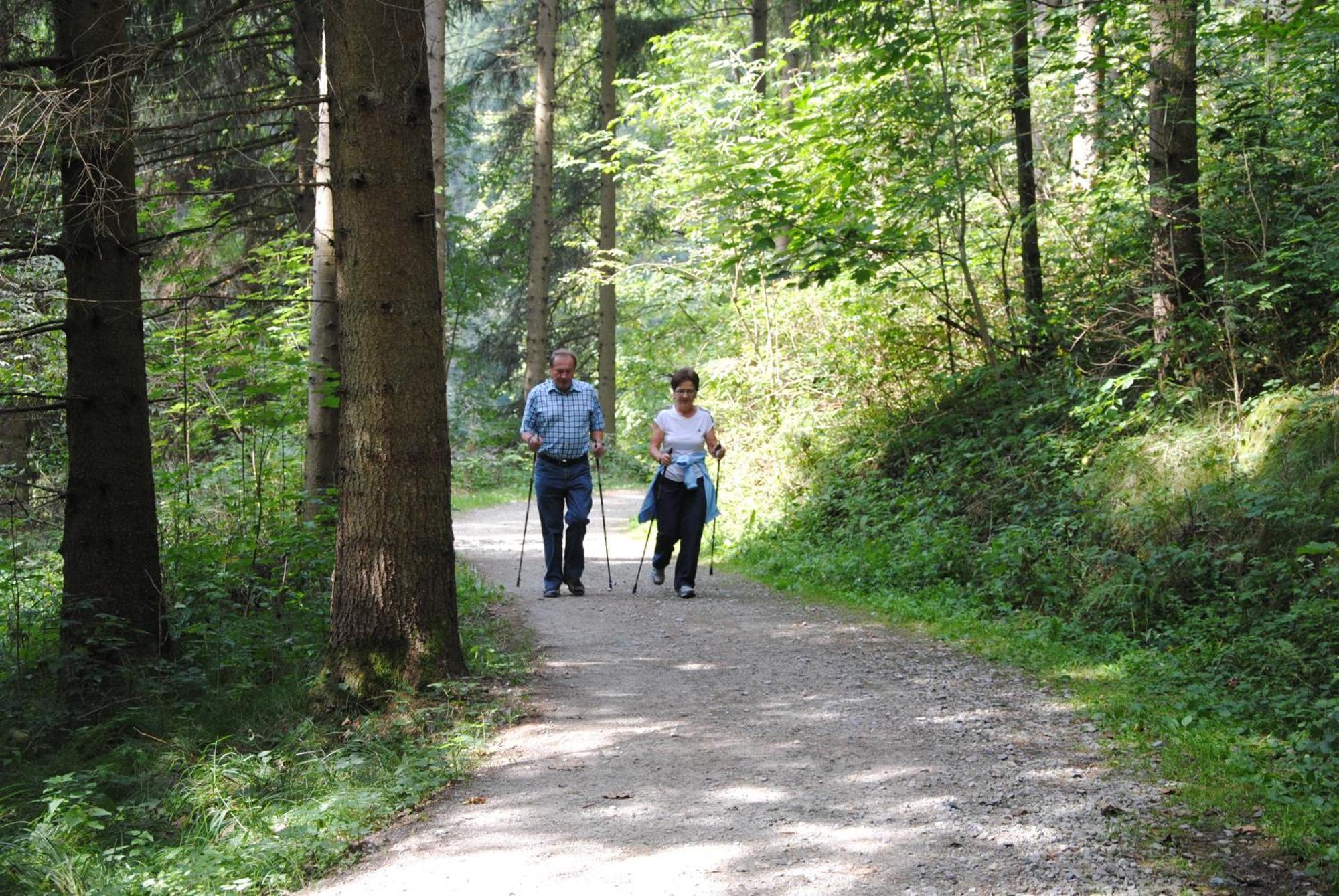 Hotel Gaestehaus Pension Lang Pfarrkirchen im Mühlkreis Zewnętrze zdjęcie