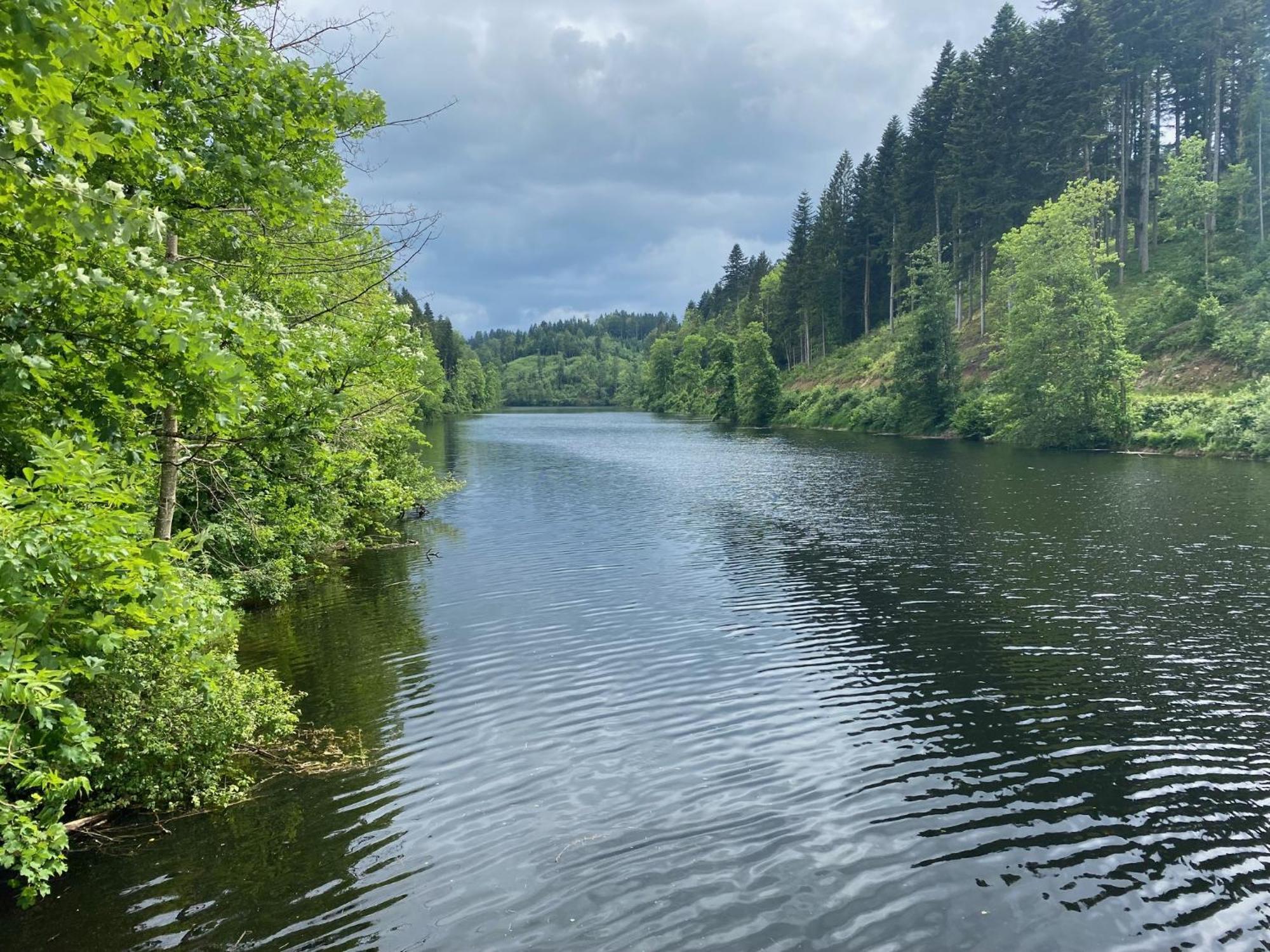 Hotel Gaestehaus Pension Lang Pfarrkirchen im Mühlkreis Zewnętrze zdjęcie